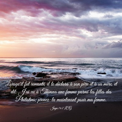 Picture 03 - Juges 14:2 LSG - Lorsqu'il fut remonté, il le déclara à son - Bible Verse Picture