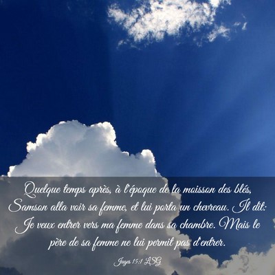 Picture 03 - Juges 15:1 LSG - Quelque temps après, à l'époque de la moisson - Bible Verse Picture