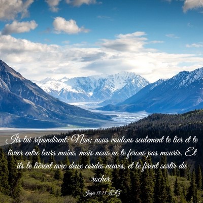 Picture 03 - Juges 15:13 LSG - Ils lui répondirent: Non; nous voulons seulement - Bible Verse Picture