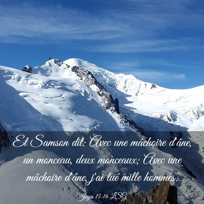 Picture 03 - Juges 15:16 LSG - Et Samson dit: Avec une mâchoire d'âne, un - Bible Verse Picture