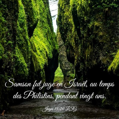 Picture 03 - Juges 15:20 LSG - Samson fut juge en Israël, au temps des - Bible Verse Picture