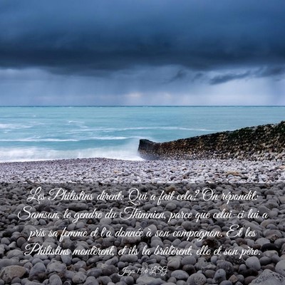Picture 03 - Juges 15:6 LSG - Les Philistins dirent: Qui a fait cela? On - Bible Verse Picture