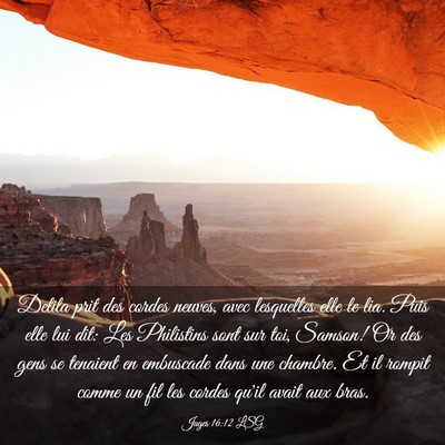 Picture 03 - Juges 16:12 LSG - Delila prit des cordes neuves, avec lesquelles - Bible Verse Picture