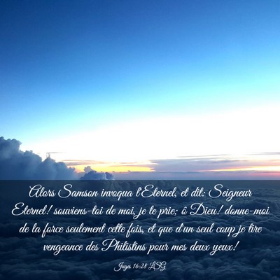 Picture 03 - Juges 16:28 LSG - Alors Samson invoqua l'Eternel, et dit: Seigneur - Bible Verse Picture