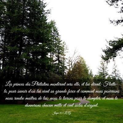 Picture 03 - Juges 16:5 LSG - Les princes des Philistins montèrent vers elle, - Bible Verse Picture