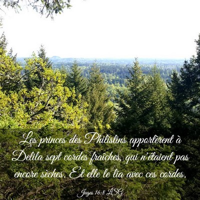 Picture 03 - Juges 16:8 LSG - Les princes des Philistins apportèrent à Delila - Bible Verse Picture