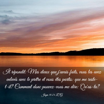 Picture 03 - Juges 18:24 LSG - Il répondit: Mes dieux que j'avais faits, vous - Bible Verse Picture