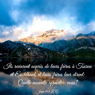 Picture 03 - Juges 18:8 LSG - Ils revinrent auprès de leurs frères à Tsorea - Bible Verse Picture