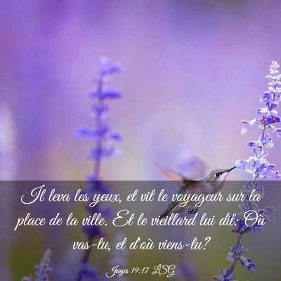 Picture 03 - Juges 19:17 LSG - Il leva les yeux, et vit le voyageur sur la place - Bible Verse Picture