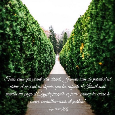 Picture 03 - Juges 19:30 LSG - Tous ceux qui virent cela dirent: Jamais rien de - Bible Verse Picture