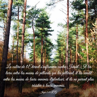Picture 03 - Juges 2:14 LSG - La colère de l'Eternel s'enflamma contre - Bible Verse Picture