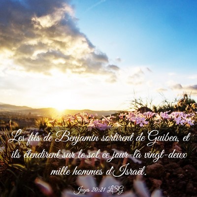 Picture 03 - Juges 20:21 LSG - Les fils de Benjamin sortirent de Guibea, et ils - Bible Verse Picture