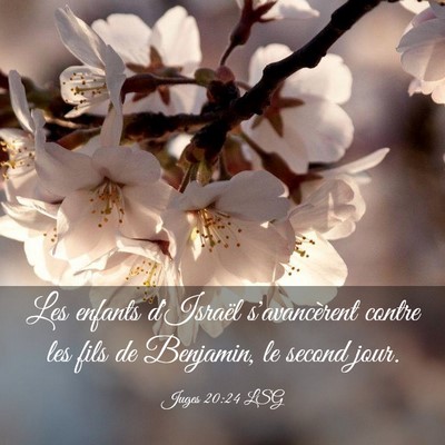 Picture 03 - Juges 20:24 LSG - Les enfants d'Israël s'avancèrent contre les - Bible Verse Picture