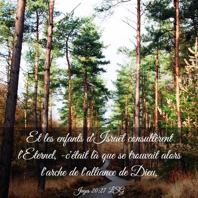 Picture 03 - Juges 20:27 LSG - Et les enfants d'Israël consultèrent l'Eternel, - Bible Verse Picture