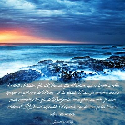 Picture 03 - Juges 20:28 LSG - et c'était Phinées, fils d'Eléazar, fils - Bible Verse Picture
