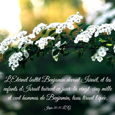 Picture 03 - Juges 20:35 LSG - L'Eternel battit Benjamin devant Israël, et les - Bible Verse Picture