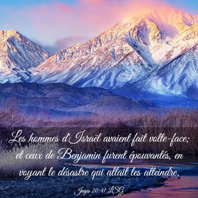 Picture 03 - Juges 20:41 LSG - Les hommes d'Israël avaient fait volte-face; et - Bible Verse Picture
