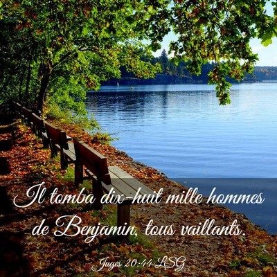 Picture 03 - Juges 20:44 LSG - Il tomba dix-huit mille hommes de Benjamin, tous - Bible Verse Picture