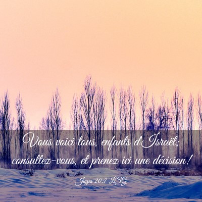 Picture 03 - Juges 20:7 LSG - Vous voici tous, enfants d'Israël; - Bible Verse Picture