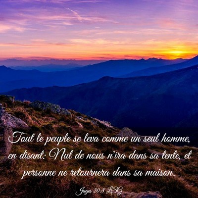 Picture 03 - Juges 20:8 LSG - Tout le peuple se leva comme un seul homme, en - Bible Verse Picture