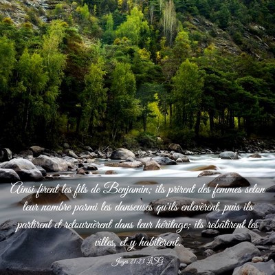 Picture 03 - Juges 21:23 LSG - Ainsi firent les fils de Benjamin; ils prirent - Bible Verse Picture