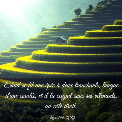 Picture 03 - Juges 3:16 LSG - Ehud se fit une épée à deux tranchants, longue - Bible Verse Picture