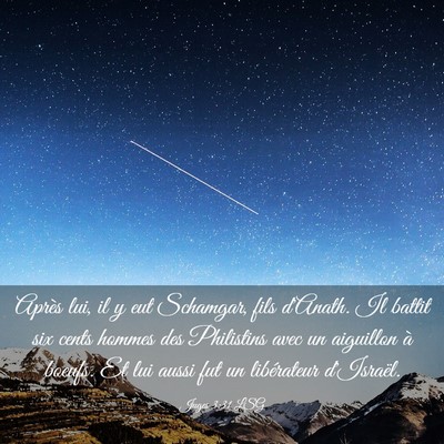Picture 03 - Juges 3:31 LSG - Après lui, il y eut Schamgar, fils d'Anath. Il - Bible Verse Picture