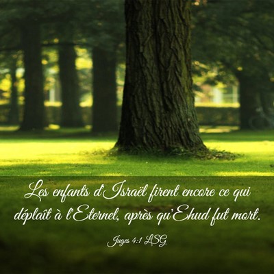 Picture 03 - Juges 4:1 LSG - Les enfants d'Israël firent encore ce qui - Bible Verse Picture