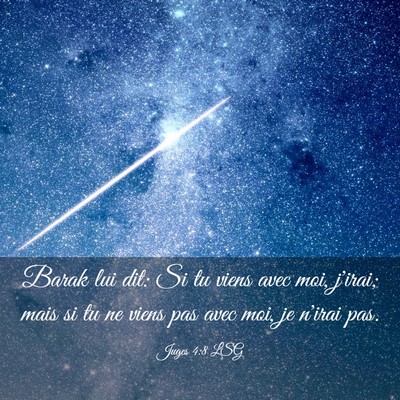 Picture 03 - Juges 4:8 LSG - Barak lui dit: Si tu viens avec moi, j'irai; mais - Bible Verse Picture