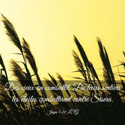 Picture 03 - Juges 5:20 LSG - Des cieux on combattit, De leurs sentiers les - Bible Verse Picture