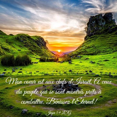 Picture 03 - Juges 5:9 LSG - Mon coeur est aux chefs d'Israël, A ceux du - Bible Verse Picture