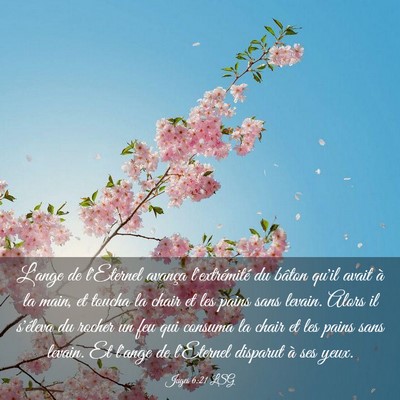 Picture 03 - Juges 6:21 LSG - L'ange de l'Eternel avança l'extrémité du - Bible Verse Picture