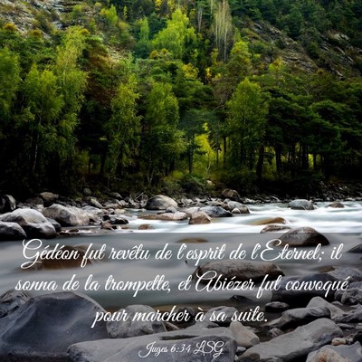 Picture 03 - Juges 6:34 LSG - Gédéon fut revêtu de l'esprit de l'Eternel; il - Bible Verse Picture