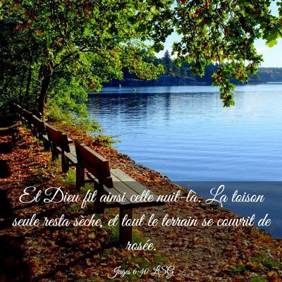 Picture 03 - Juges 6:40 LSG - Et Dieu fit ainsi cette nuit-là. La toison seule - Bible Verse Picture