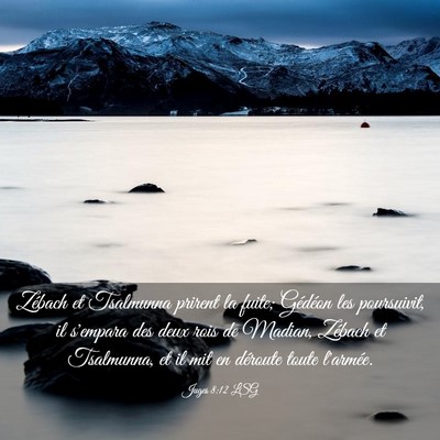 Picture 03 - Juges 8:12 LSG - Zébach et Tsalmunna prirent la fuite; Gédéon - Bible Verse Picture