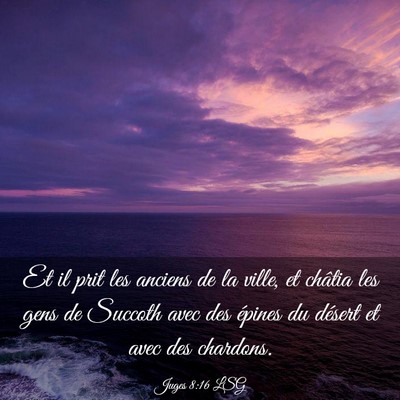 Picture 03 - Juges 8:16 LSG - Et il prit les anciens de la ville, et châtia - Bible Verse Picture