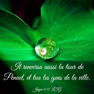 Picture 03 - Juges 8:17 LSG - Il renversa aussi la tour de Penuel, et tua les - Bible Verse Picture