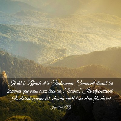 Picture 03 - Juges 8:18 LSG - Il dit à Zébach et à Tsalmunna: Comment - Bible Verse Picture