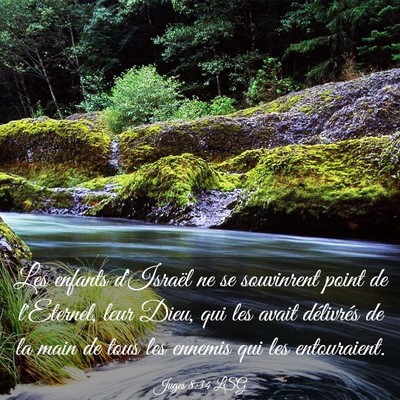 Picture 03 - Juges 8:34 LSG - Les enfants d'Israël ne se souvinrent point de - Bible Verse Picture