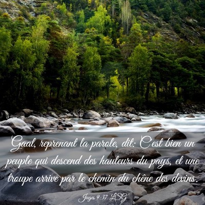 Picture 03 - Juges 9:37 LSG - Gaal, reprenant la parole, dit: C'est bien un - Bible Verse Picture