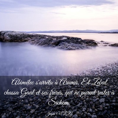 Picture 03 - Juges 9:41 LSG - Abimélec s'arrêta à Aruma. Et Zebul chassa - Bible Verse Picture
