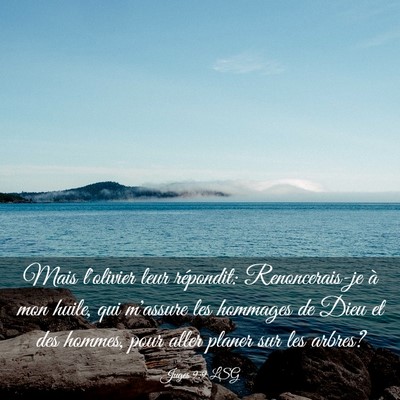 Picture 03 - Juges 9:9 LSG - Mais l'olivier leur répondit: Renoncerais-je à - Bible Verse Picture
