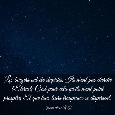Picture 03 - Jérémie 10:21 LSG - Les bergers ont été stupides, Ils n'ont pas - Bible Verse Picture