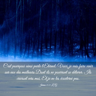 Picture 03 - Jérémie 11:11 LSG - C'est pourquoi ainsi parle l'Eternel: Voici, je - Bible Verse Picture