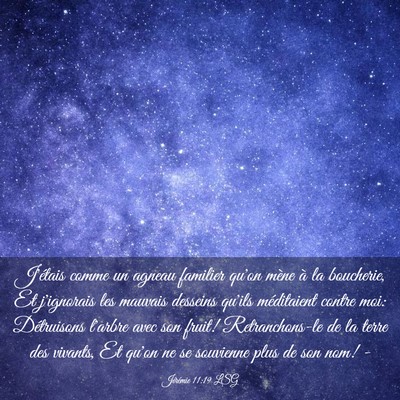 Picture 03 - Jérémie 11:19 LSG - J'étais comme un agneau familier qu'on mène à - Bible Verse Picture