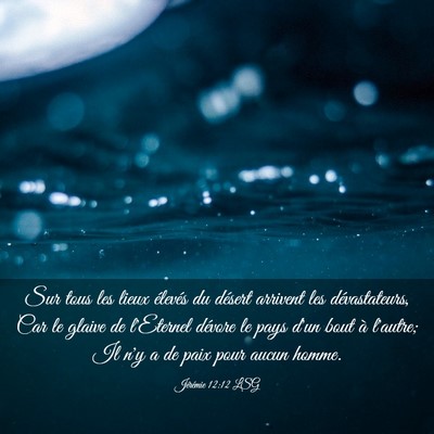 Picture 03 - Jérémie 12:12 LSG - Sur tous les lieux élevés du désert arrivent - Bible Verse Picture