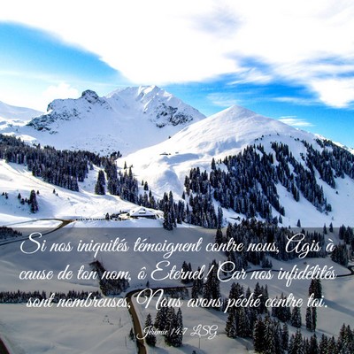 Picture 03 - Jérémie 14:7 LSG - Si nos iniquités témoignent contre nous, Agis - Bible Verse Picture