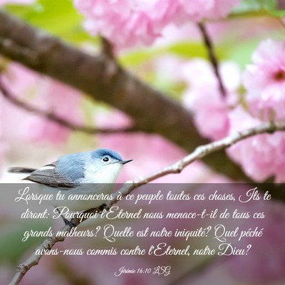Picture 03 - Jérémie 16:10 LSG - Lorsque tu annonceras à ce peuple toutes ces - Bible Verse Picture