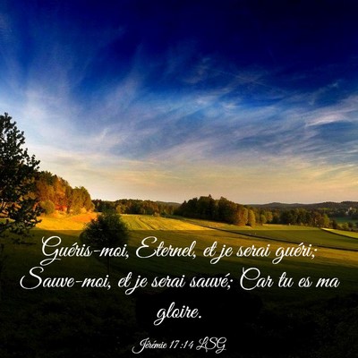 Picture 03 - Jérémie 17:14 LSG - Guéris-moi, Eternel, et je serai guéri; - Bible Verse Picture