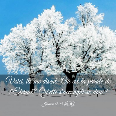 Picture 03 - Jérémie 17:15 LSG - Voici, ils me disent: Où est la parole de - Bible Verse Picture